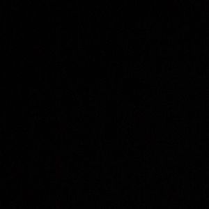 Meet your Posher, Sonya